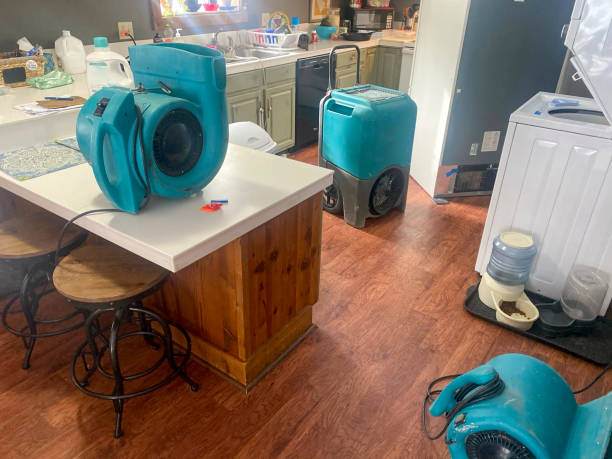 Best Emergency water damage restoration  in La Grange Park, IL