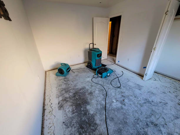 Carpet water damage restoration in La Grange Park, IL