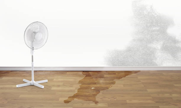 Best Fire Damage Restoration  in La Grange Park, IL