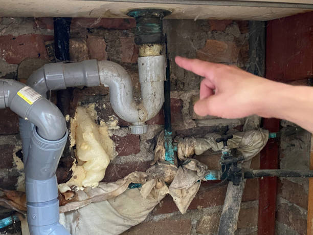 Best Water damage contractors near me  in La Grange Park, IL