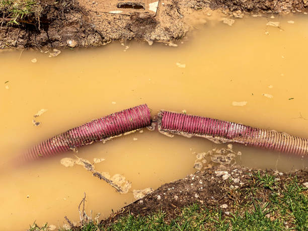 Best Flood restoration services  in La Grange Park, IL