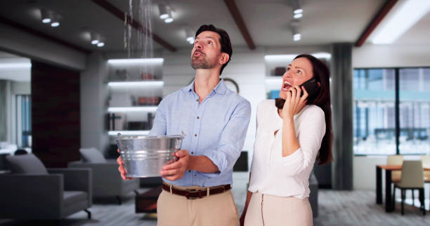 Best Mold removal after water damage  in La Grange Park, IL