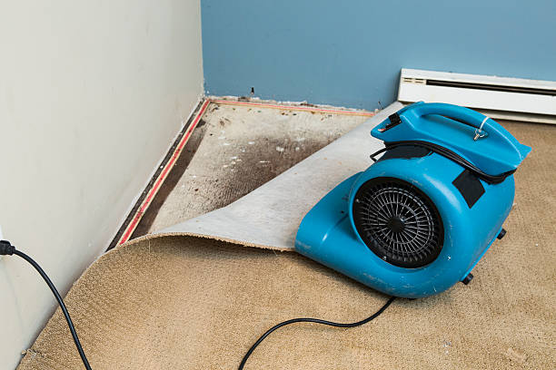 La Grange Park, IL Water damage restoration Company